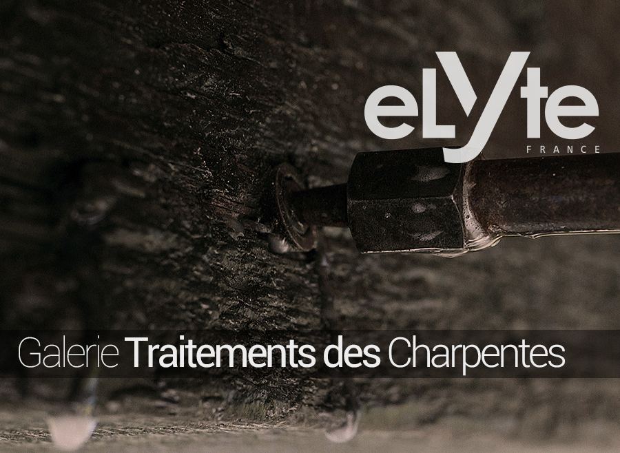 TRAITEMENTS DES CHARPENTES