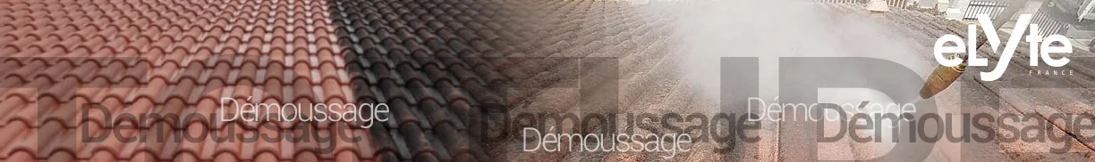 D&Eacute;MOUSSAGE 2