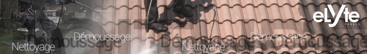 DEMOUSSGAE NETTOYAGE