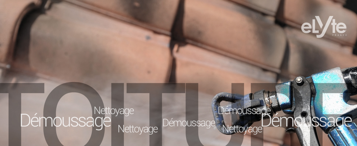 NETTOYAGE ET DEMOUSSAGE